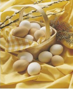 Yumurtalı Kanepe (2 Kişilik) tarifi