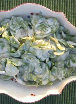 Yoğurtlu semizotu salatası tarifi