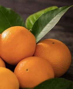 Ballı acılı portakal suyu tarif resmi