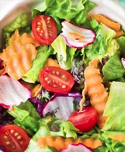 Mevsim salata tarif resmi
