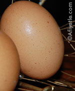 Yumurta salatası tarif resmi